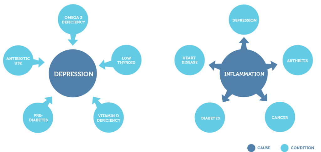 NutriOptimised framework illustration
